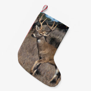 White Tail Deer Kleine Kerstsok