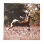 White-Tail Deer Running Tegeltje (Voorkant)