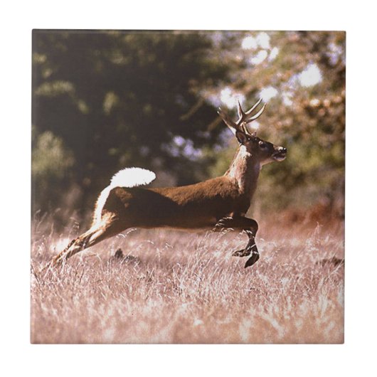 White-Tail Deer Running Tegeltje (Voorkant)