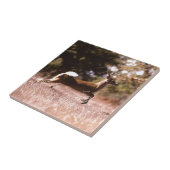 White-Tail Deer Running Tegeltje (Zijkant)