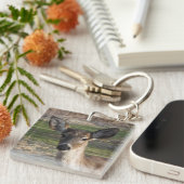 White Tail Deer Sluiten Sleutelhanger (Voorkant Rechts)