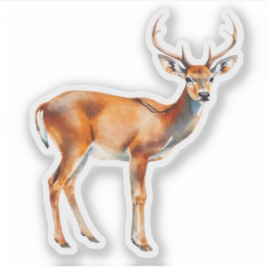 White Tail Deer Sticker (Voorkant)