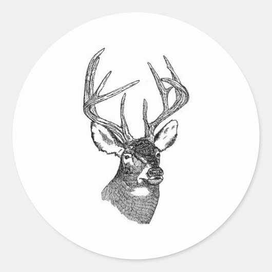 White Tail Deer Trophy Buck Ronde Sticker (Voorkant)