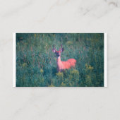 White Tail Deer Visitekaartje,  Visitekaartje (Achterkant)