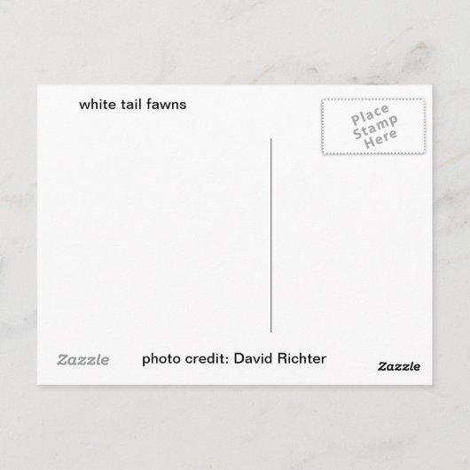 White Tail Fawn Briefkaart (Achterkant)