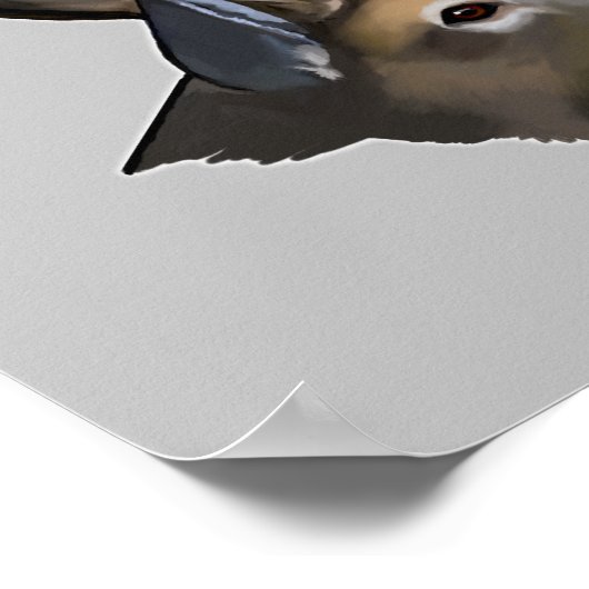 White-Tailed Beste Buck Tekening Poster (Hoek)