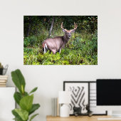 White-Tailed Buck Premium Gloss-Poster Poster (Thuiskantoor)