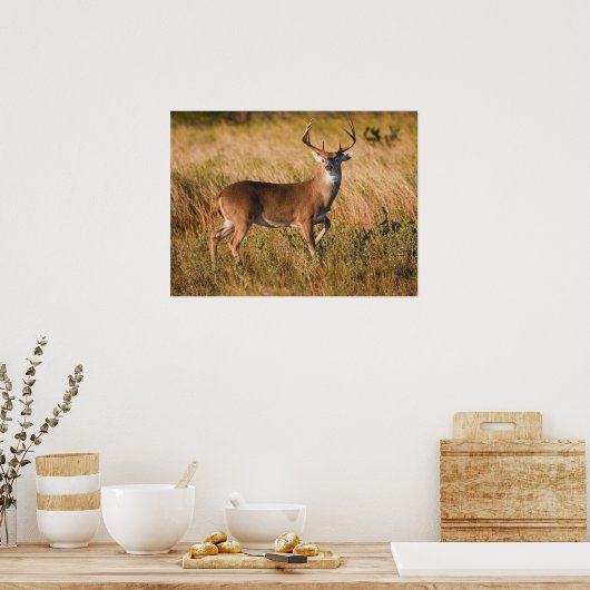 White-tailed Deer | Autumn in TX Poster (Keuken)