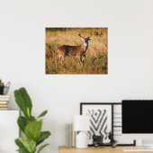 White-tailed Deer | Autumn in TX Poster (Thuiskantoor)