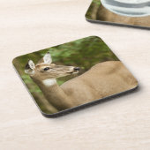 White Tailed Deer Bier Onderzetter (Linkerzijde)