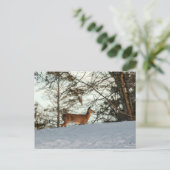 White Tailed Deer Briefkaart (Staand voorkant)
