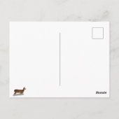 White Tailed Deer Briefkaart (Achterkant)