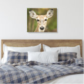 White Tailed Deer Canvas Afdruk (Insitu (Slaapkamer))