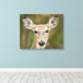 White Tailed Deer Canvas Afdruk (Insitu (Houten vloer))
