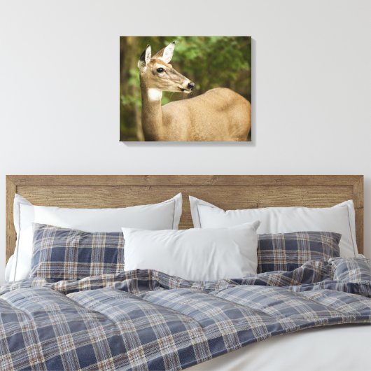 White Tailed Deer Canvas Afdruk (Insitu (Slaapkamer))