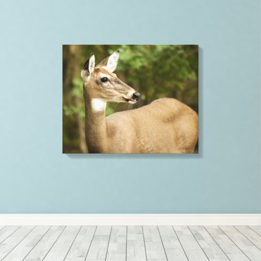White Tailed Deer Canvas Afdruk (Insitu (Houten vloer))