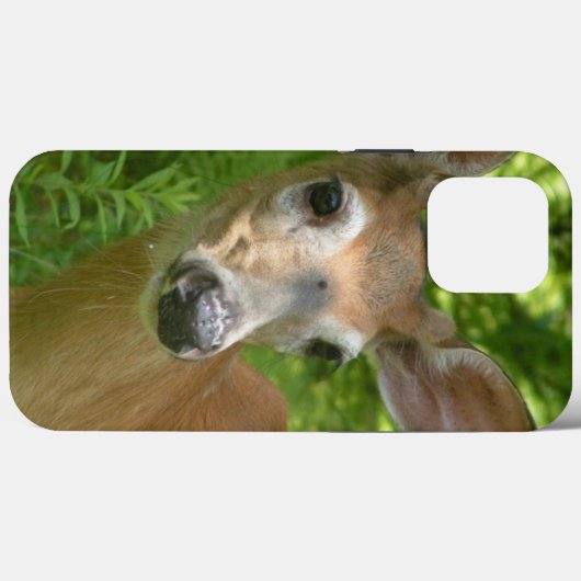 White Tailed Deer Case-Mate iPhone Case (Achterkant (horizontaal))