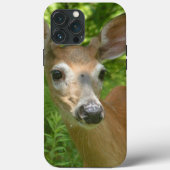 White Tailed Deer Case-Mate iPhone Case (Achterkant)