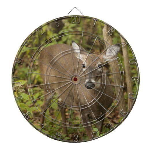 White Tailed Deer Dartbord (Voorkant)