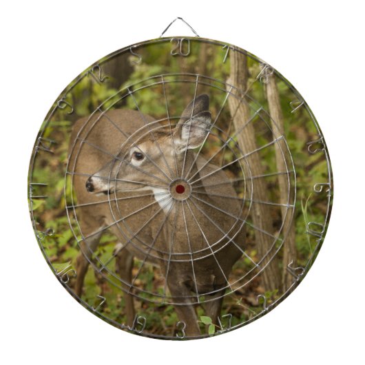 White Tailed Deer Dartbord (Voorkant)