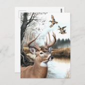 White Tailed Deer en Mallards natuur scene Briefkaart (Voorkant / Achterkant)