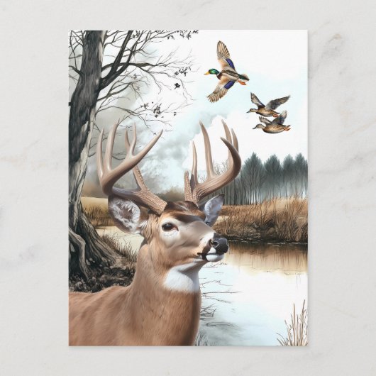 White Tailed Deer en Mallards natuur scene Briefkaart (Voorkant)