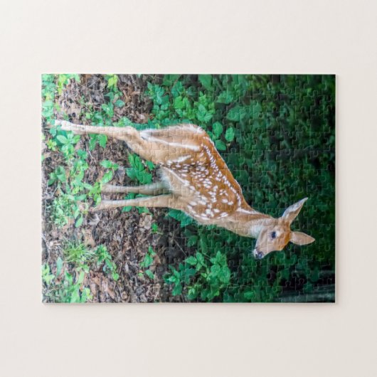 White-Tailed Deer Fawn Puzzle Legpuzzel (Horizontaal)
