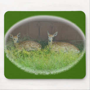 White-Tailed Deer Fawns Mousepad Muismat