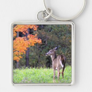 White Tailed Deer in een herfstveld Sleutelhanger
