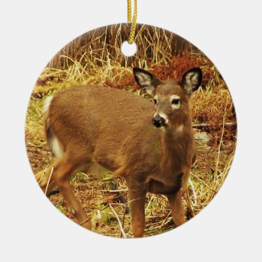 White Tailed Deer Keramisch Ornament (Voorkant)