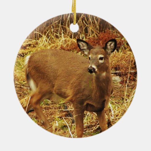 White Tailed Deer Keramisch Ornament (Achterkant)