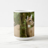 White Tailed Deer Koffiemok (Center)