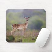 White-Tailed Deer Muismat (Met muis)