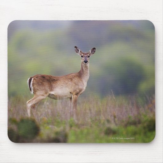 White-Tailed Deer Muismat (Voorkant)