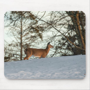 White Tailed Deer Muismat