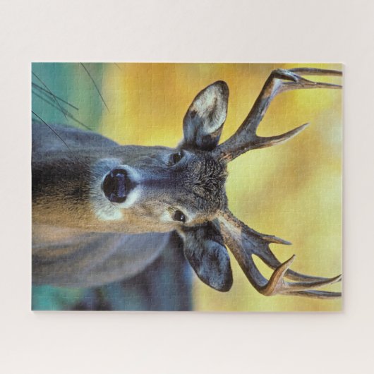 White-Tailed Deer | Najaar Legpuzzel (Horizontaal)