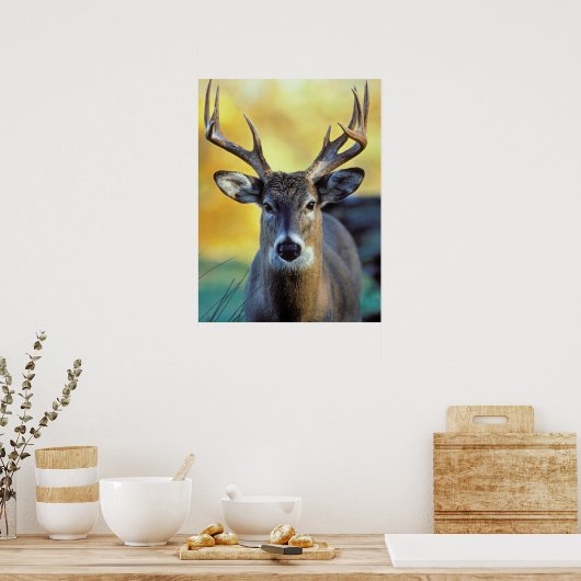 White-Tailed Deer | Najaar Poster (Keuken)