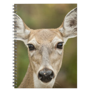 White Tailed Deer Notitieboek