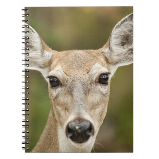 White Tailed Deer Notitieboek (Voorkant)