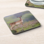 White-Tailed Deer Onderzetter (Linkerzijde)