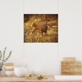 White Tailed Deer Poster (Keuken)