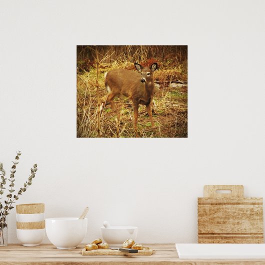 White Tailed Deer Poster (Keuken)