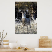 White Tailed Deer Poster (Keuken)
