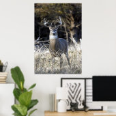 White Tailed Deer Poster (Thuiskantoor)