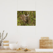 White Tailed Deer Poster (Keuken)