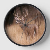 White Tailed Deer | State Park Choke Canyon, TX (Voorkant)