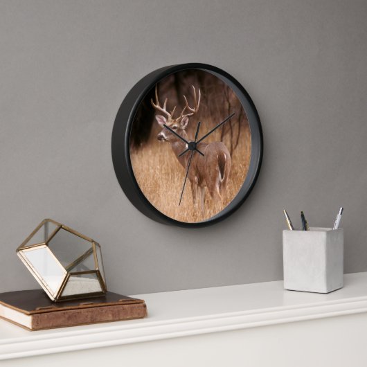 White Tailed Deer | State Park Choke Canyon, TX (Kantoor)