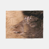 White Tailed Deer | State Park Choke Canyon, TX Fleece Deken (Voorkant (Horizontaal))