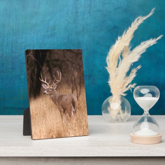 White Tailed Deer | State Park Choke Canyon, TX Fotoplaat (Zijkant)