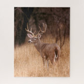 White Tailed Deer | State Park Choke Canyon, TX Legpuzzel (Verticaal)